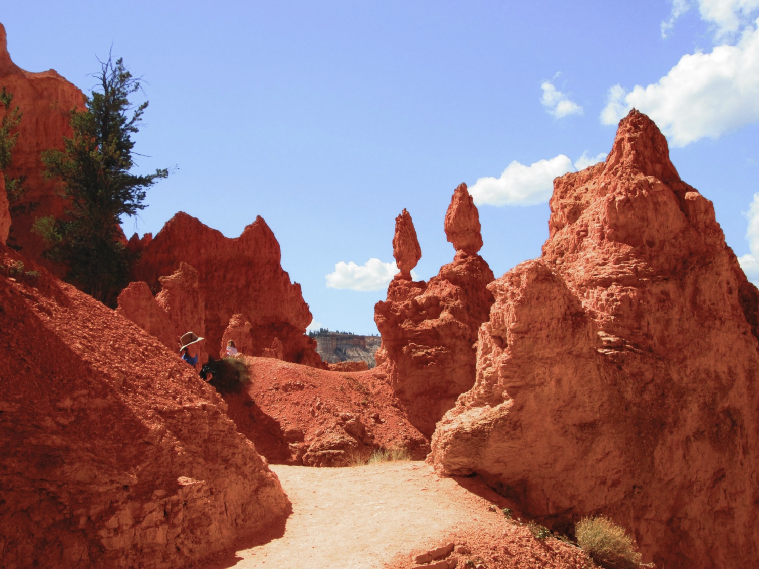 USA_Bryce Canyon_A_038